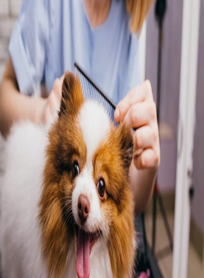 Pet Believe مشط بيت بيليف ذو المقبض الخشبي والأسنان المعدنية المضاد لتساقط الشعر ومقبض خشبي قوي لسهولة الإمساك به أثناء التمشيط (اشترِ واحدًا واحصل على الثاني مجانًا) - Image 5